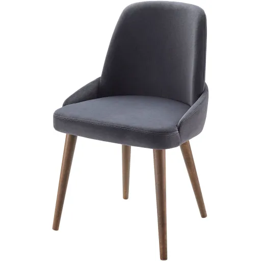 Peregrine Dining Chair- Set of 2